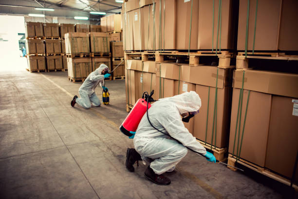 Best Emergency Pest Control  in Jonesville, MI