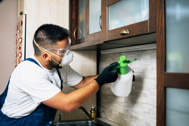 Best Pest Control Cost  in Jonesville, MI
