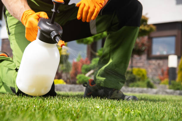 Best Affordable Pest Control Services  in Jonesville, MI