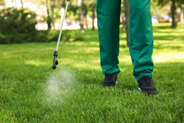 Best Rat Extermination Near Me  in Jonesville, MI