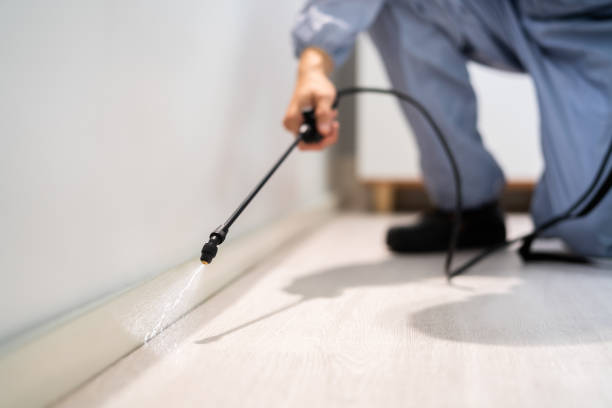 Best Commercial Pest Control Services  in Jonesville, MI