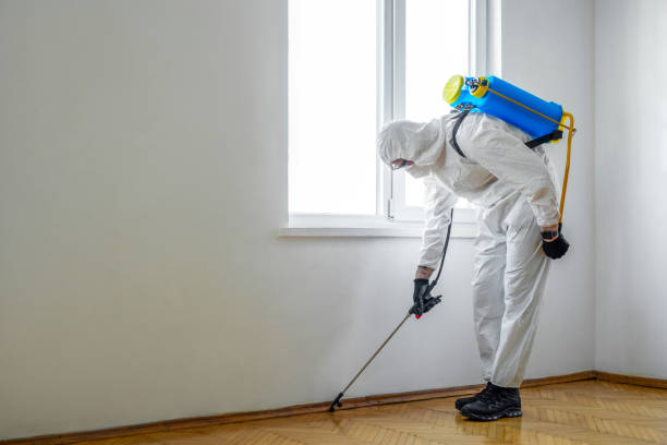 Best Insect Control  in Jonesville, MI