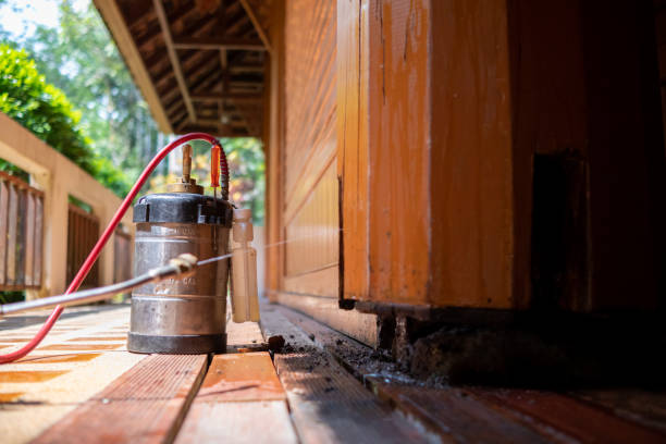 Best Termite Control Services  in Jonesville, MI