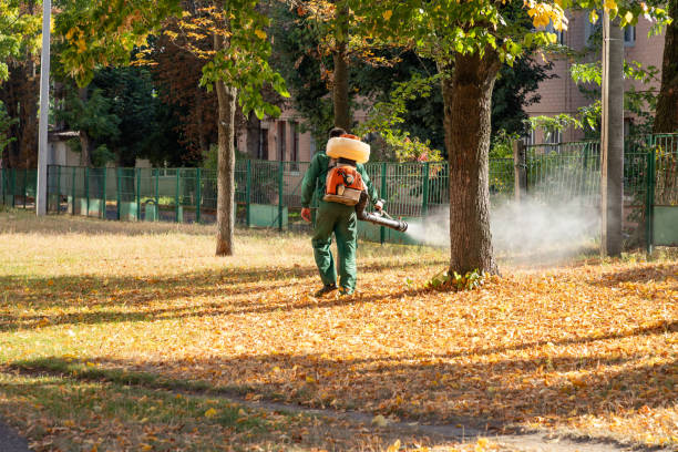 Best Insect Control  in Jonesville, MI