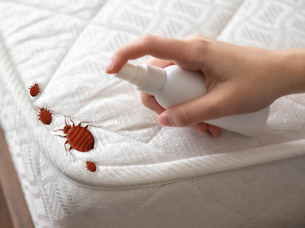 Best Affordable Pest Control Services  in Jonesville, MI