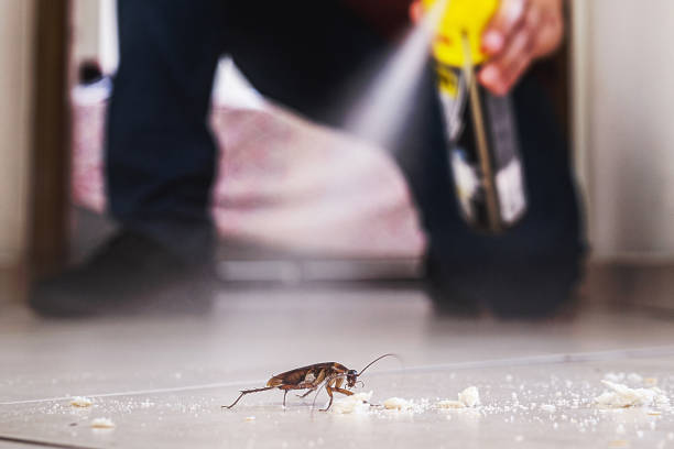 Best Flea Control Services  in Jonesville, MI