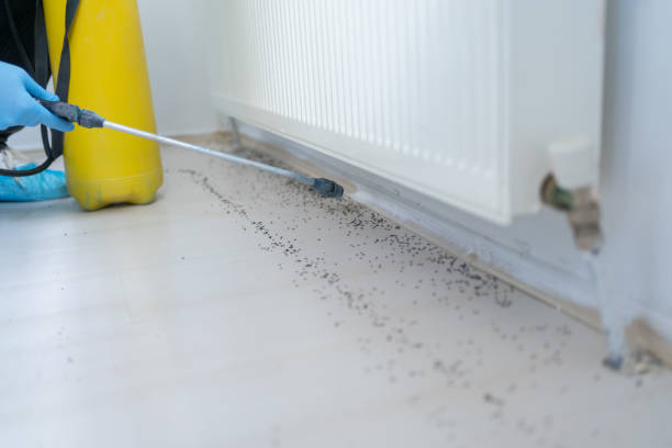 Pest Control for Restaurants in Jonesville, MI