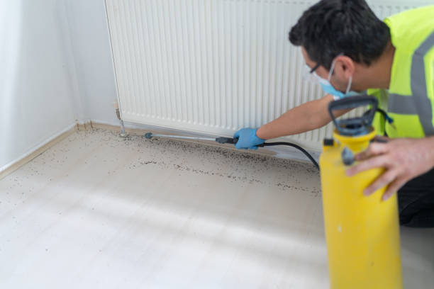 Best Ant Control Services  in Jonesville, MI