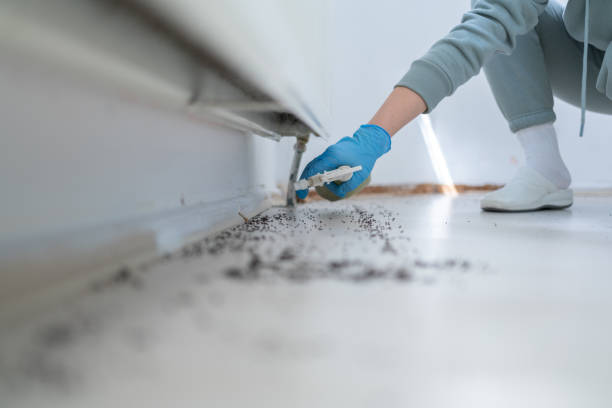 Best Best Pest Control Companies  in Jonesville, MI