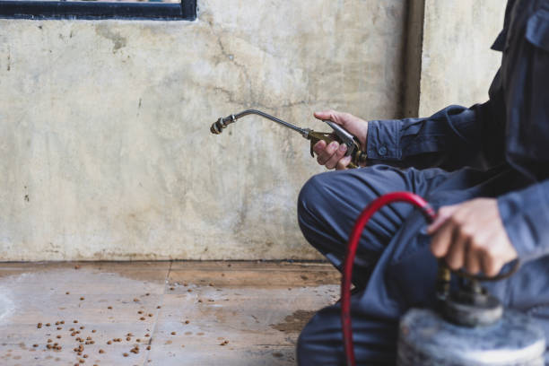 Best Local Pest Control Services  in Jonesville, MI